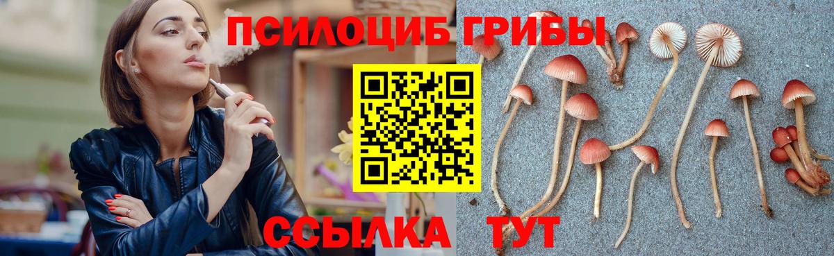 Галлюциногенные грибы Cubensis  Вход с VPN  Вологда  Псилоцибиновые грибы мухоморы 